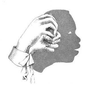 Earn - A Following Shadow  CD